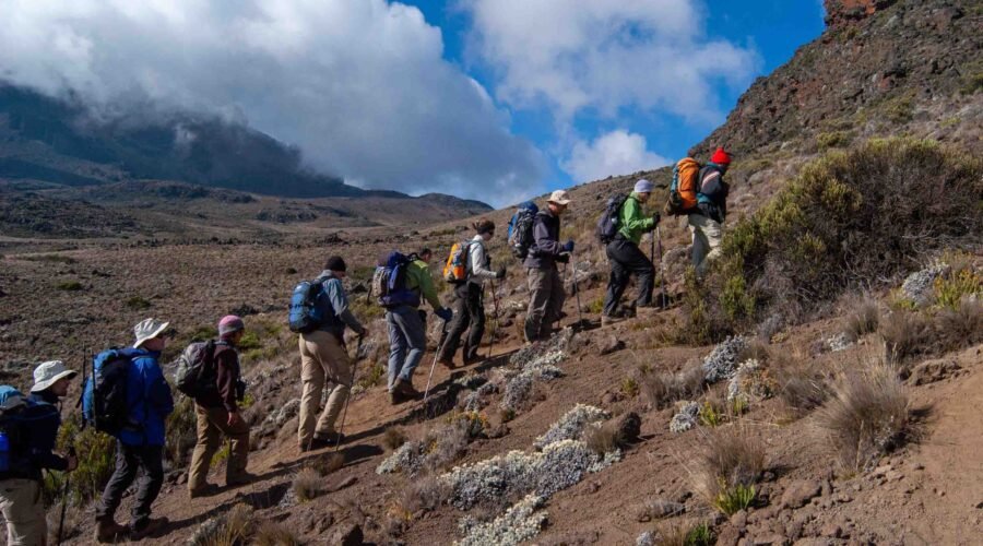 6-days Kilimanjaro Climbing Marangu Route 2025/2027
