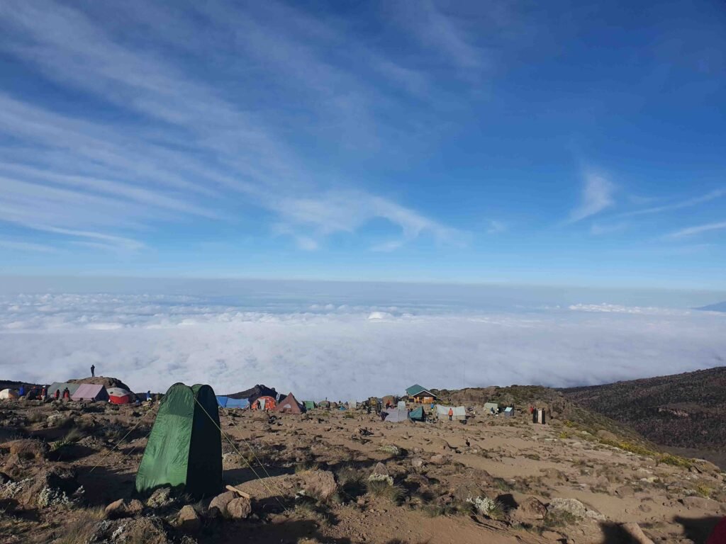 Lemosho route 8 days kilimanjaro climbing