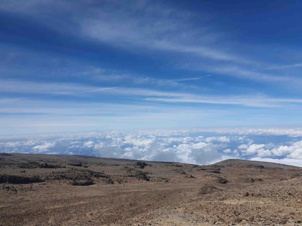8 days lemosho route kilimanjaro climbing