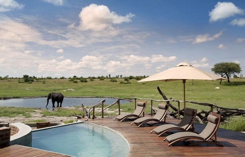 Tanzania Midrange Lodge Safari Packages