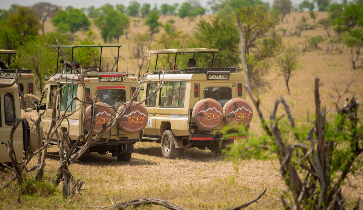 The best 4-days safari in Tanzania Serengeti, and Ngorongoro crater