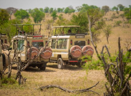 The best 4-days safari in Tanzania Serengeti, and Ngorongoro crater