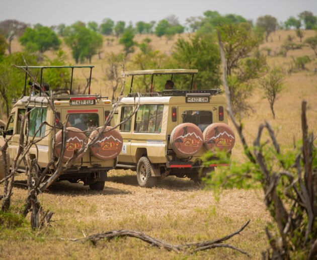 The best 4-days safari in Tanzania Serengeti, and Ngorongoro crater