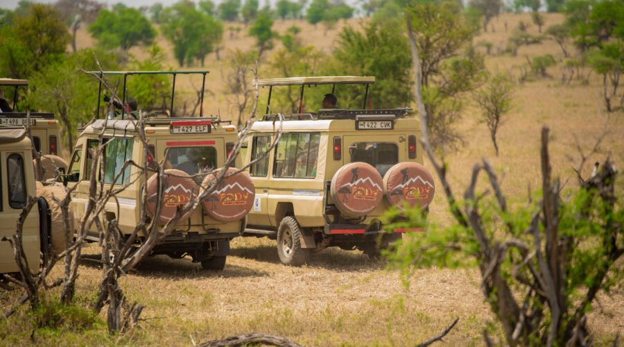 The best 4-days safari in Tanzania Serengeti, and Ngorongoro crater