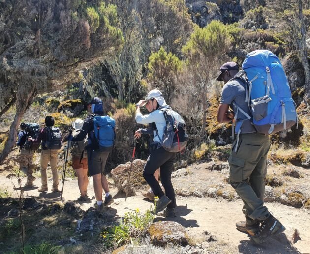 5-Days Marangu Route Mount Kilimanjaro 2027/2028
