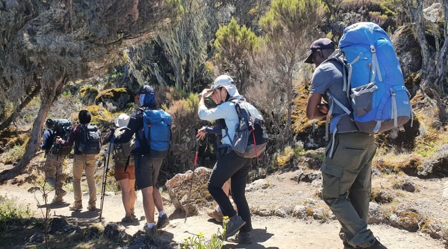 5-Days Marangu Route Mount Kilimanjaro 2027/2028