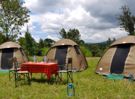 4-days Budget Camping Safari in Tanzania 2025/2026