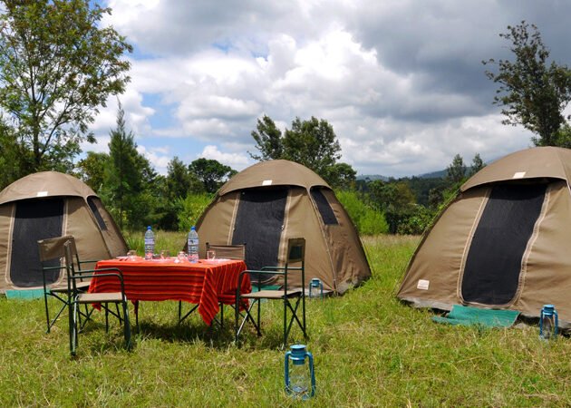 4-Day Tanzania Budget Camping Safari