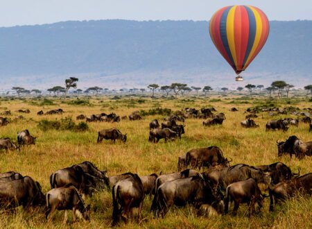 8 days Serengeti Balloon Safari