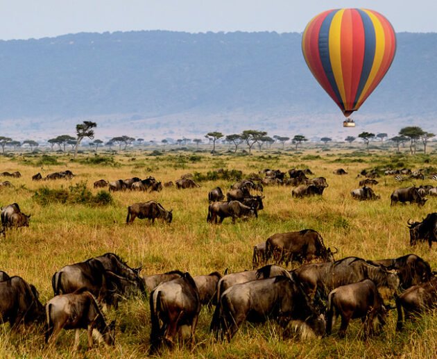 8 days Serengeti Balloon Safari