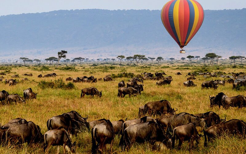 8 days Serengeti Balloon Safari