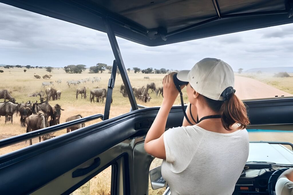 The best 3 days Tanzania safari in 2025/2026