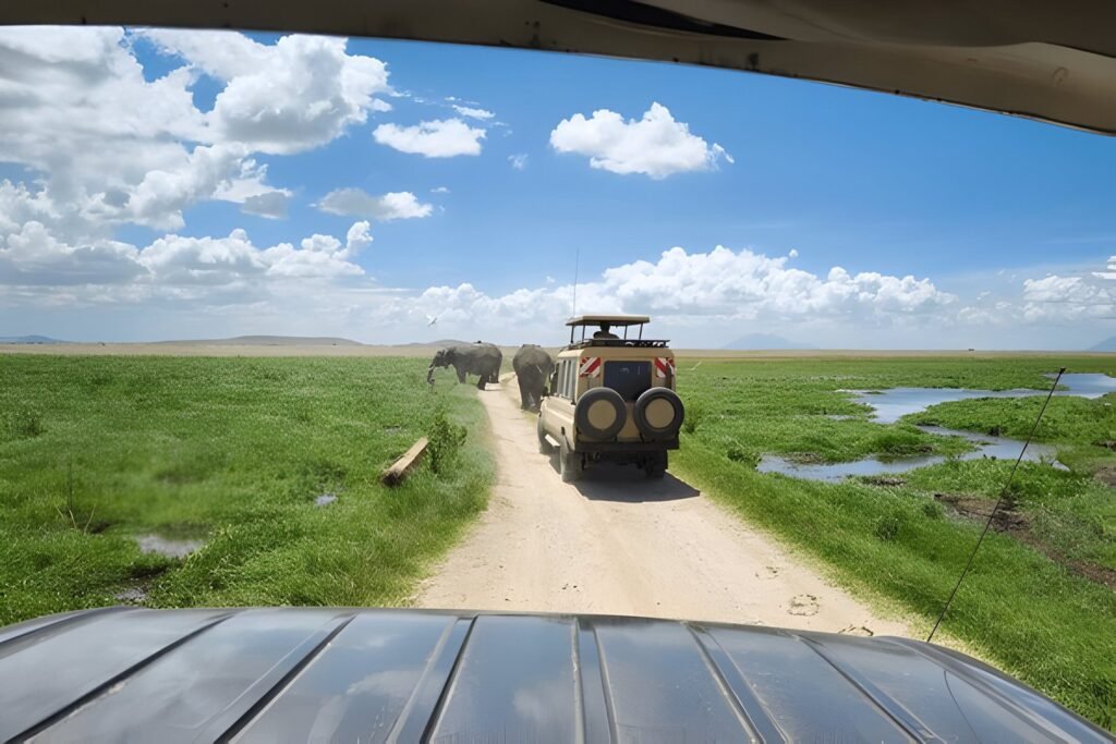 The best 5 days Tarangire, Serengeti, Ngorongoro, and Manyara safari