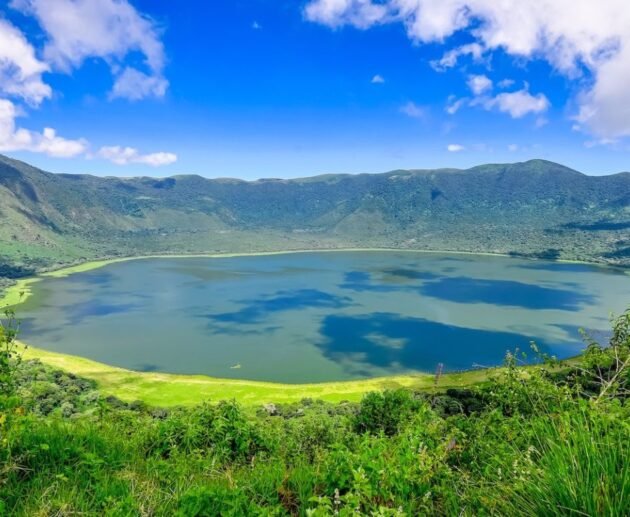 The best 7-days Serengeti Migration Safari in Tanzania 2026/2027 And 2028