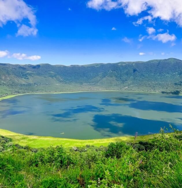 The best 7-days Serengeti Migration Safari in Tanzania 2026/2027 And 2028