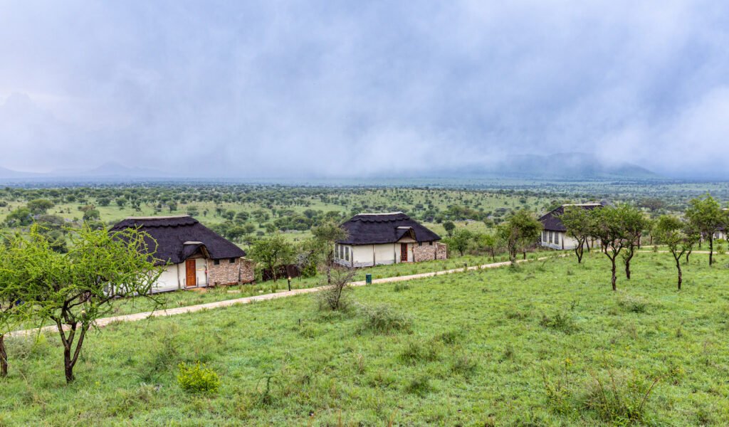 Tanzania Midrange Lodge Safari Packages