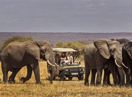 1 day Tarangire safari