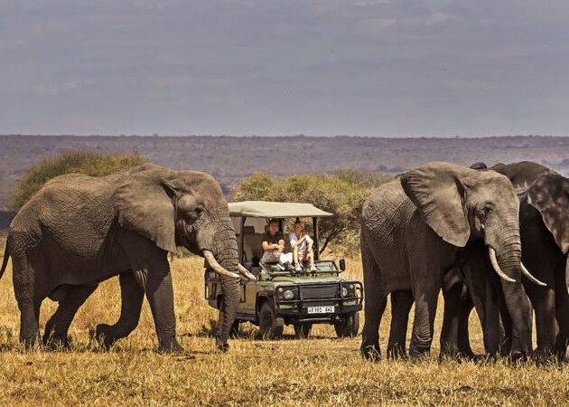 1 day Tarangire safari
