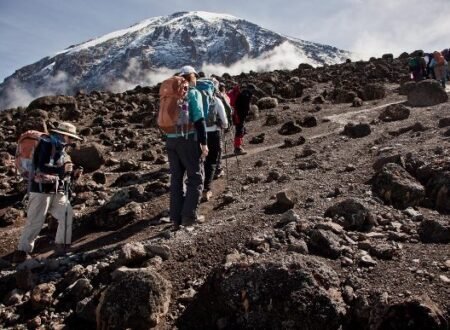 Explore our Kilimanjaro Climbing Tours