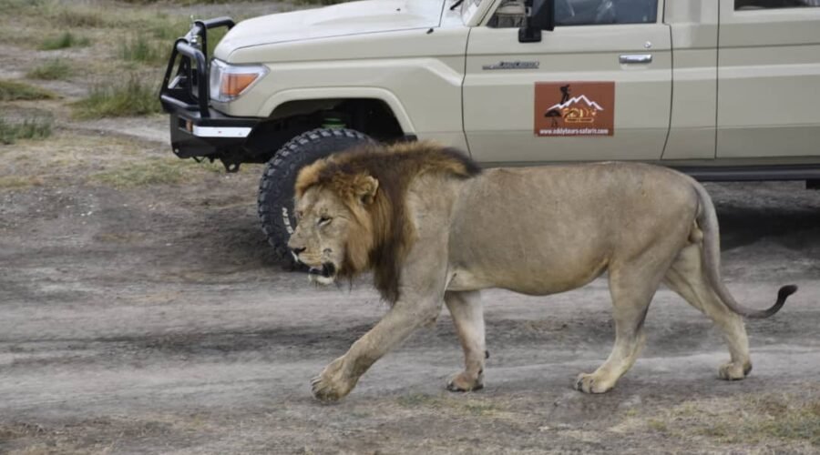 4 Days in Ngorongoro & Serengeti