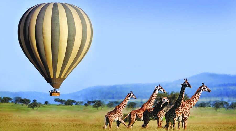 6 days greatest Serengeti Balloon Safari