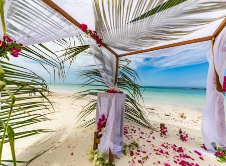 Ultimate Guide to a Tanzania Honeymoon Safari 2025/2026
