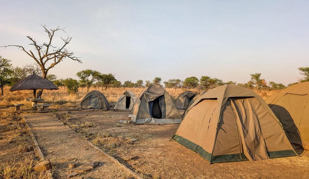 The Best 7-Day Budget Camping Safari in Tanzania 2027/2028
