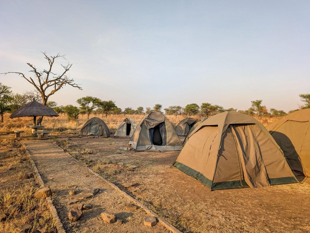 Best 8-Day Budget Camping Safari in Tanzania 2027/2028: Complete Wildlife Safari Itinerary