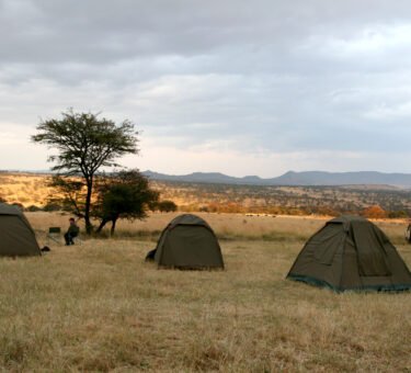 7-Day Tanzania Budget Camping Safari