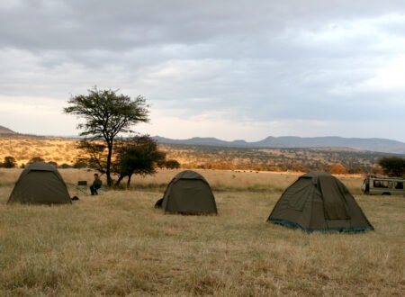 7-Day Tanzania Budget Camping Safari