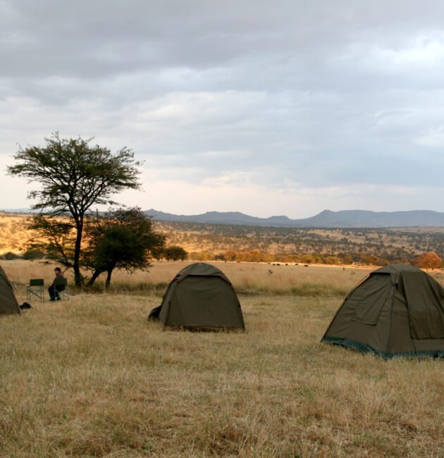 7-Day Tanzania Budget Camping Safari