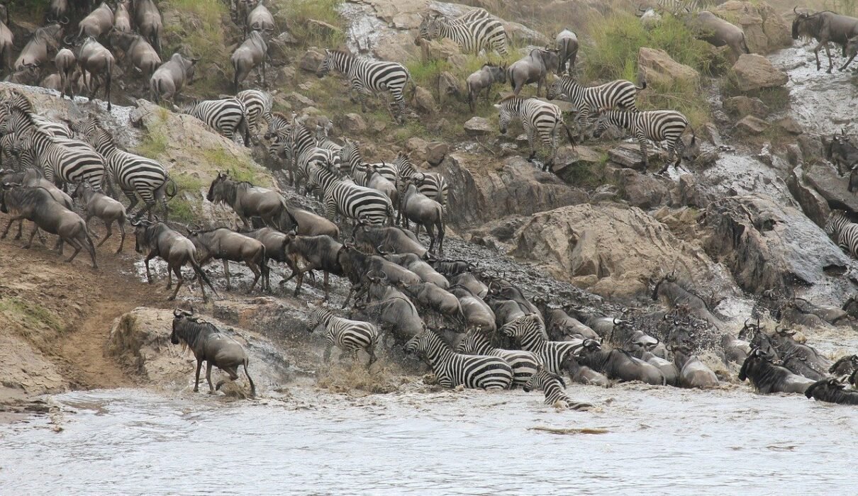 5-day Great Serengeti Migration Safari