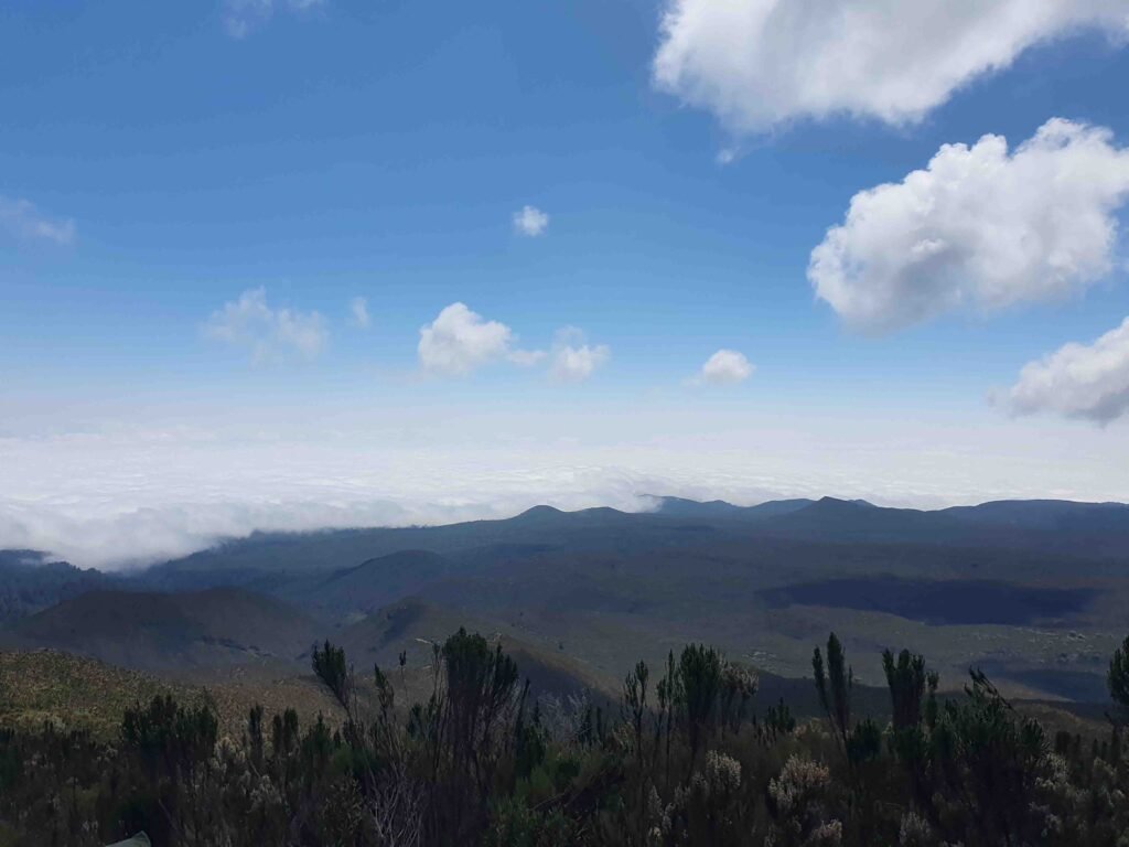 6 machame route kilimanjaro climbing