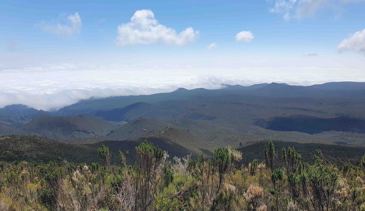 Marangu Route Kilimanjaro - 6-Day Scenic Summit Trek