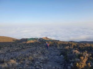 6 days lemosho route kilimanjaro climbing
