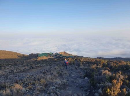 8 days lemosho route