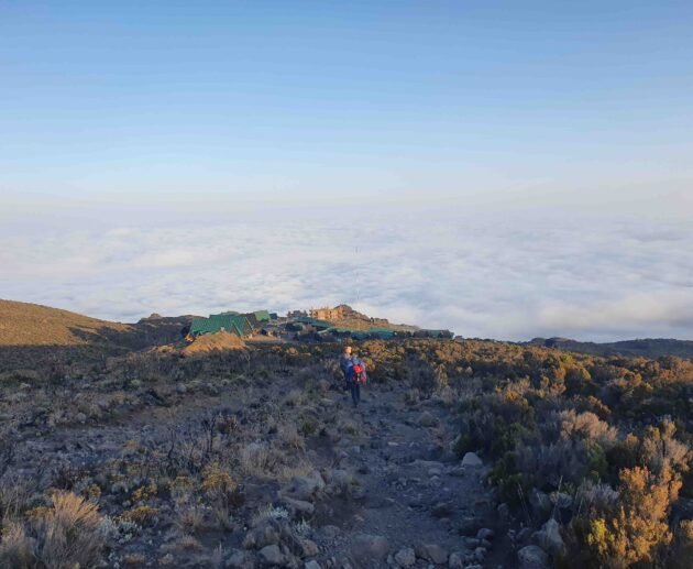 8 days lemosho route