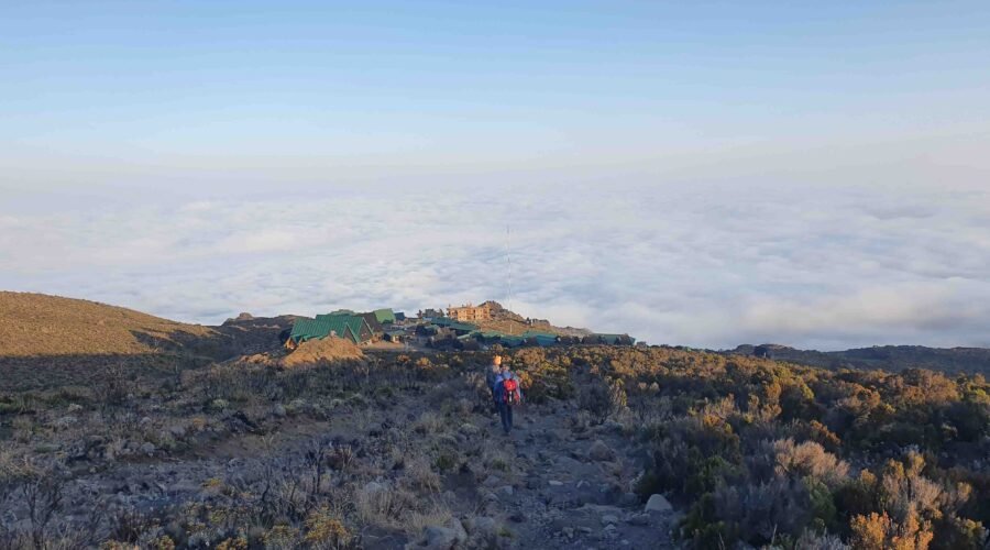 8 days lemosho route