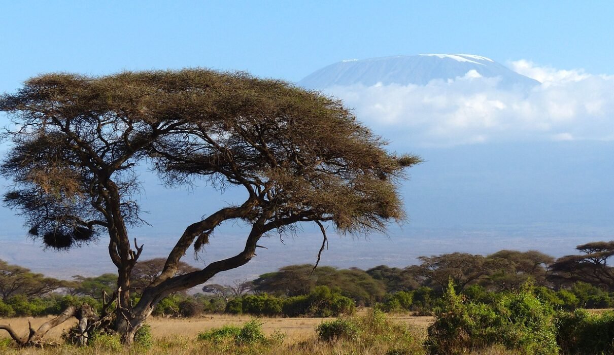 Machame route Kilimanjaro Climbing