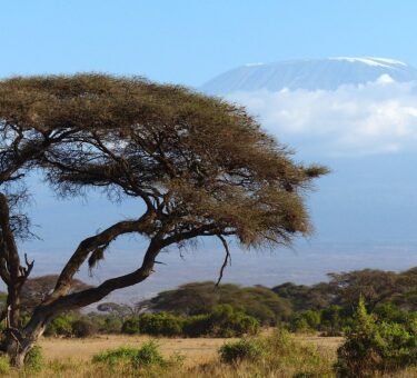Machame route Kilimanjaro Climbing