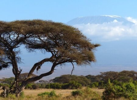 Machame route Kilimanjaro Climbing