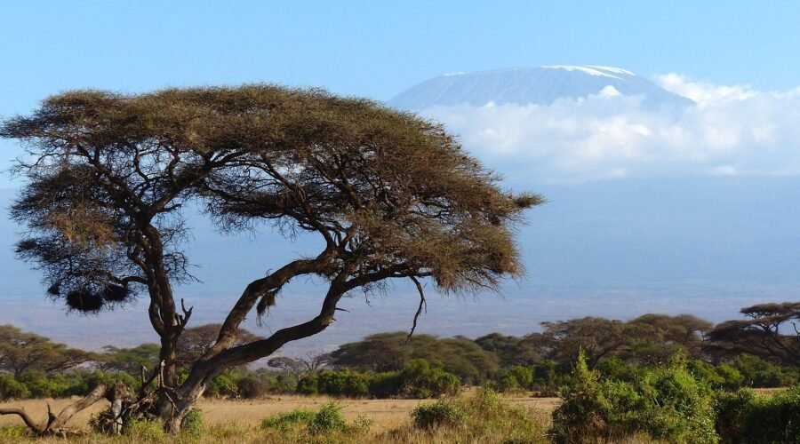 Machame route Kilimanjaro Climbing