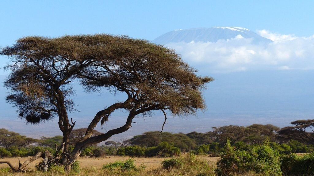 Mt. Kilimanjaro in Tanzania