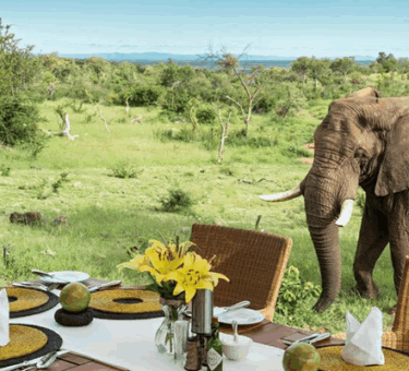 4 days Tanzania Luxury Lodge Safari