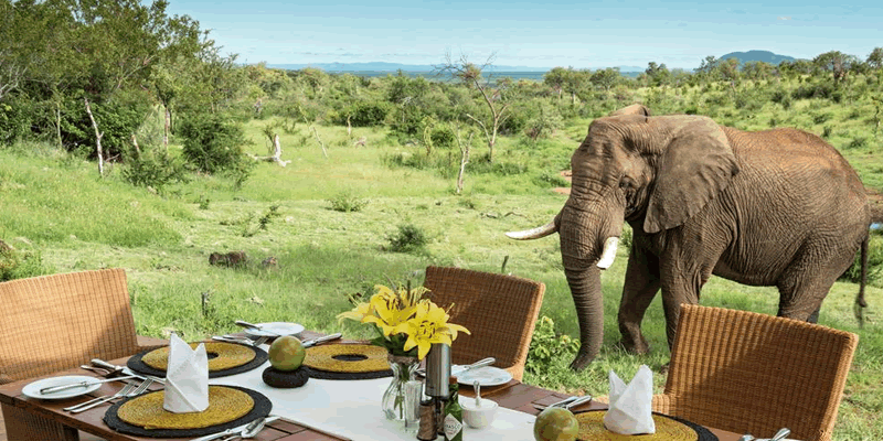 4 days Tanzania Luxury Lodge Safari