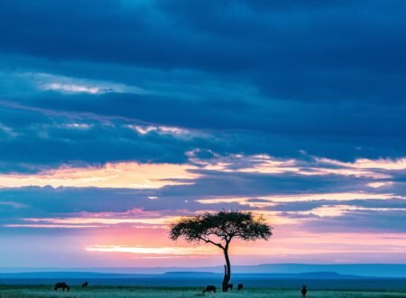 Masai Mara national reserve