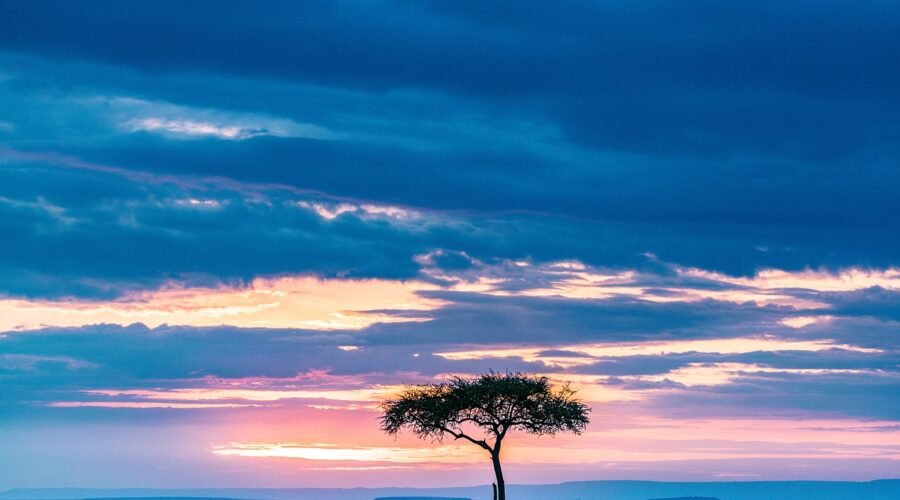 Masai Mara national reserve