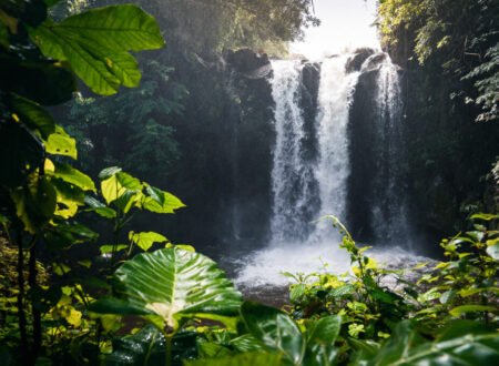 Marangu waterfall 1-day