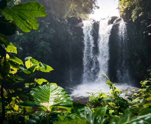 Marangu waterfall 1-day