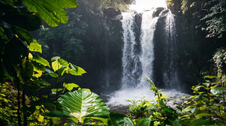 Marangu waterfall 1-day